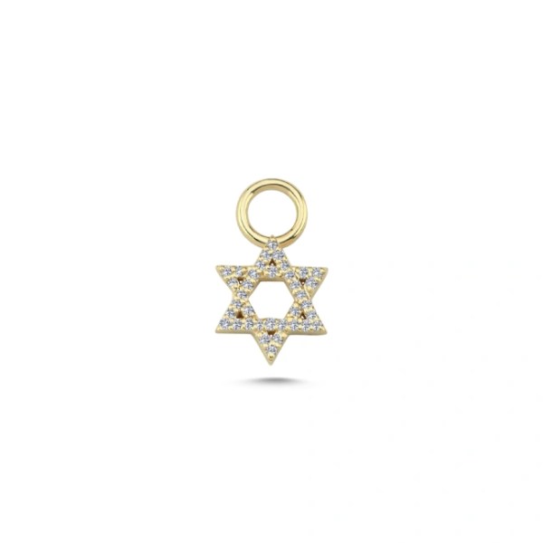 14k Gold Star of David Diamond Charm