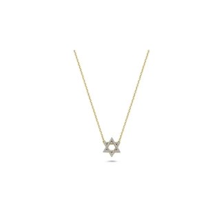 14k Gold Divina Necklace