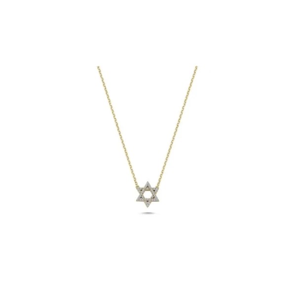 14k Gold Divina Necklace