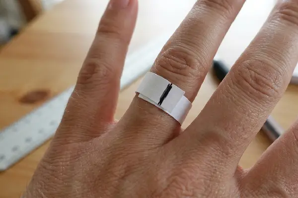 String or Paper Strip